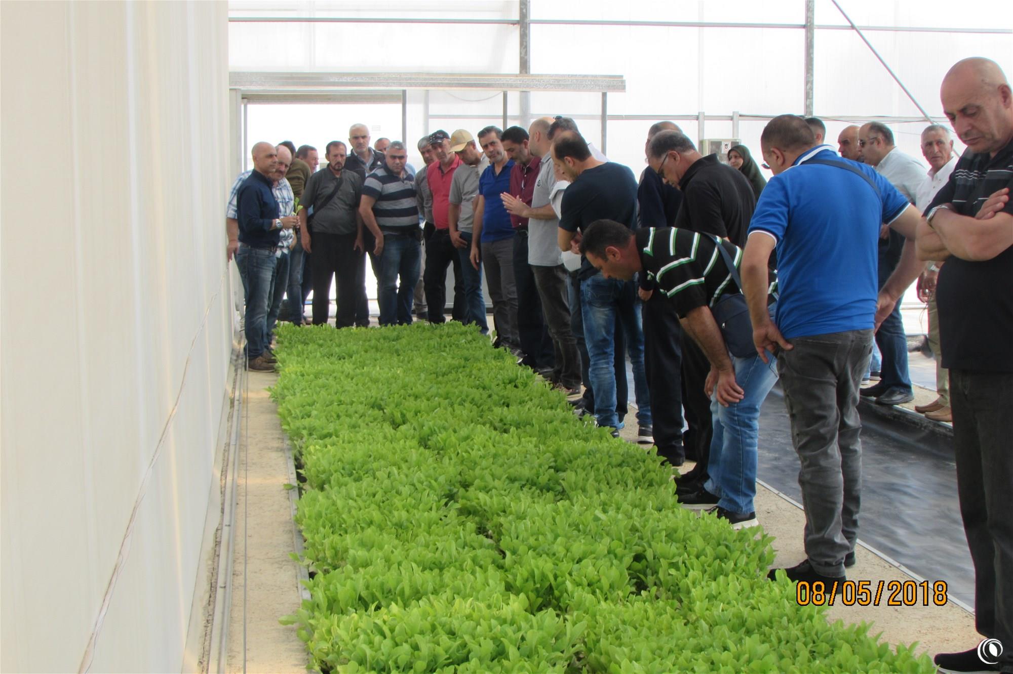 A delegation of tobacco farmers in Turkey to brief on the industry’s latest technologies