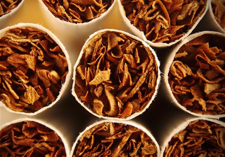 Existing Tobacco Products in the Lebanese Market