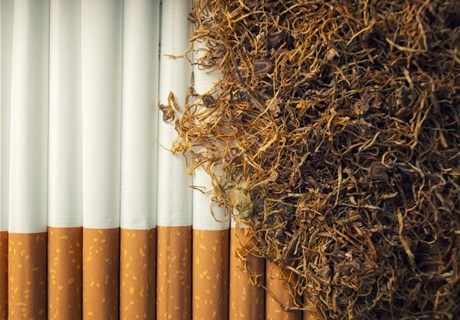 The Prices of Tobacco and Moassal Products